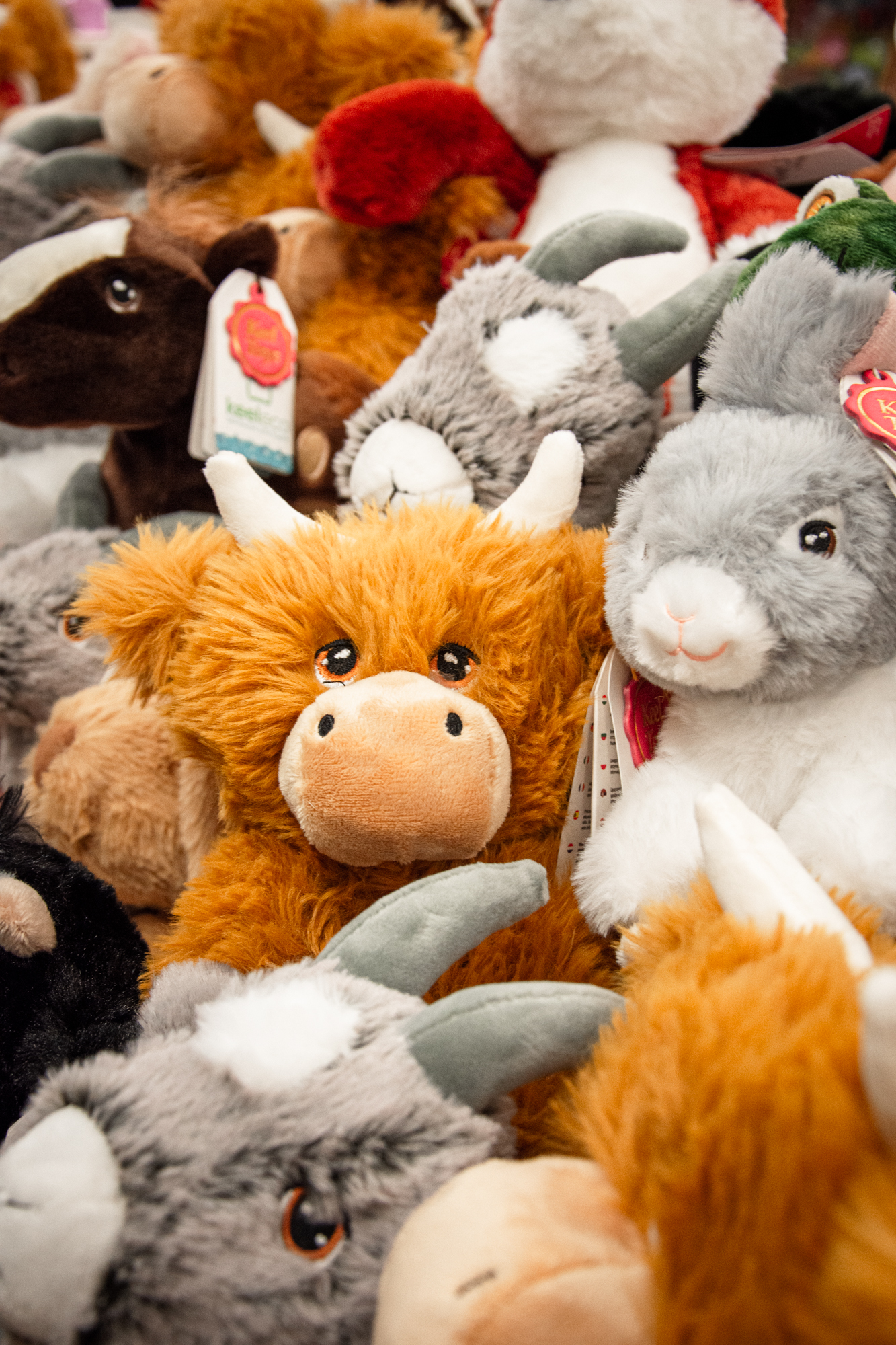 Soft Toys Highland Cow